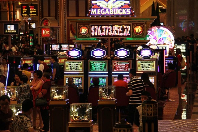 Casinokulturen
